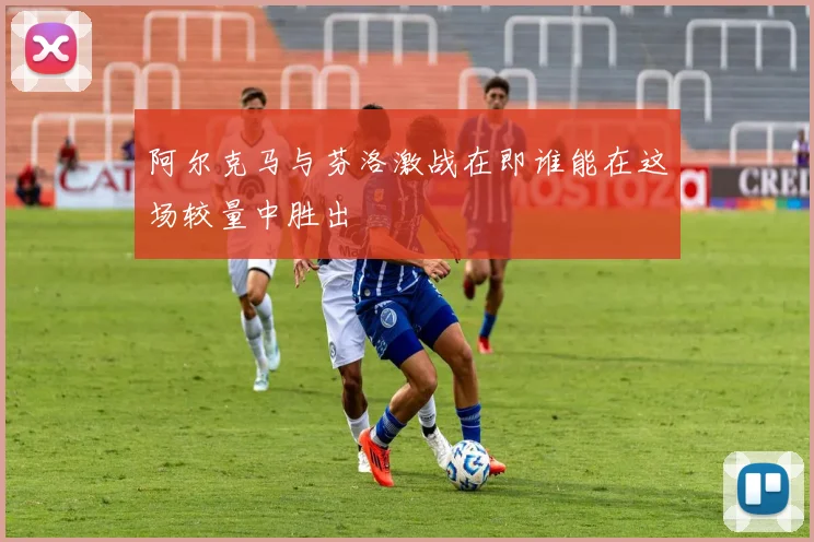 阿尔克马与芬洛激战在即谁能在这场较量中胜出